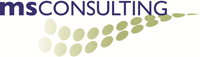 MS Consulting Logo